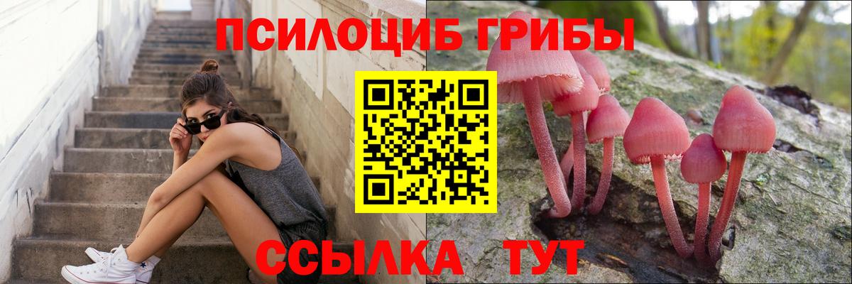 Псилоцибиновые грибы ЛСД Асбест
